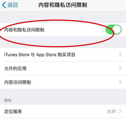 丽水苹果15Pro预约维修分享苹果iPhone15Pro如何设置应用加密 