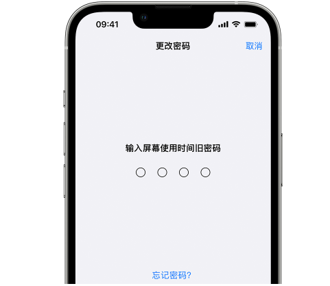 丽水iPhone屏幕维修分享iPhone屏幕使用时间密码忘记了怎么办 