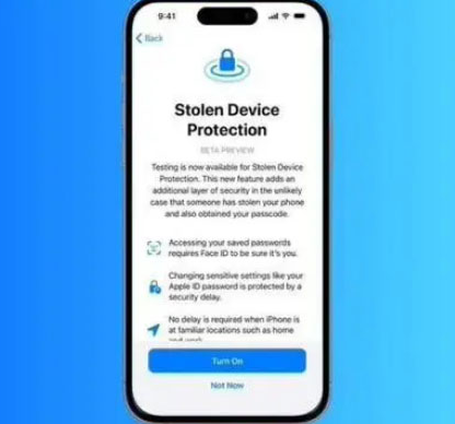 丽水苹果授权维修店分享被盗设备保护功能开启方法 