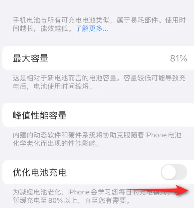 丽水苹果15维修分享iPhone15充电到80%就充不进电了怎么办 