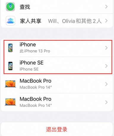 丽水苹丽水果维修网点分享iPhone如何查询序列号