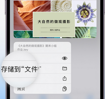 丽水apple维修中心分享iPhone文件应用中存储和找到下载文件