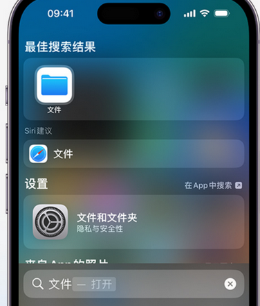 丽水apple维修中心分享iPhone文件应用中存储和找到下载文件 