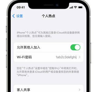 丽水apple服务站点分享iPhone上个人热点丢失了怎么办 