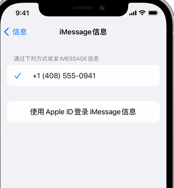 丽水apple维修iPhone上无法正常发送iMessage信息 