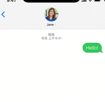 丽水apple维修iPhone上无法正常发送iMessage信息