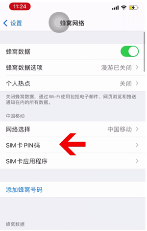 丽水苹果14维修网分享如何给iPhone14的SIM卡设置密码 