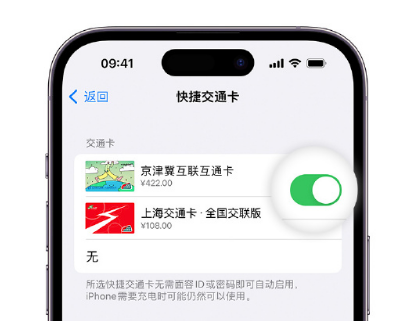 丽水apple维修点分享iPhone上更换Apple Pay快捷交通卡手绘卡面 