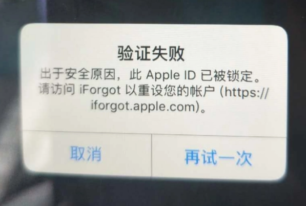 丽水iPhone维修分享iPhone上正常登录或使用AppleID怎么办 