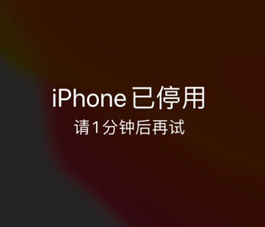 丽水苹果手机维修分享:iPhone 显示“不可用”或“已停用”怎么办？还能保留数据吗？ 