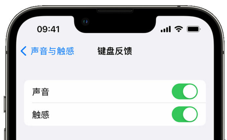 丽水苹果手机维修分享iPhone 14触感键盘使用方法 