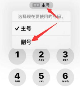 丽水苹果14维修店分享iPhone 14 Pro Max使用副卡打电话的方法 