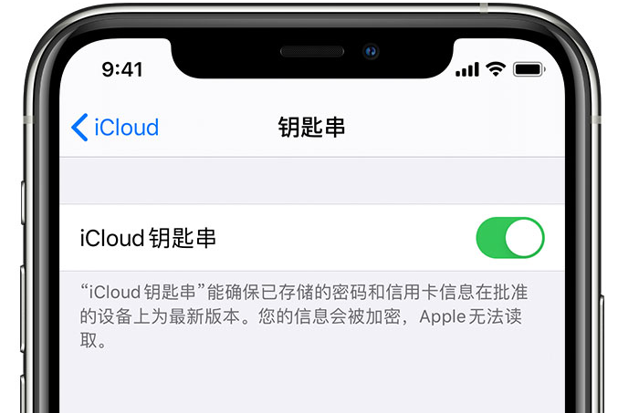 丽水苹果手机维修分享在 iPhone 上开启 iCloud 钥匙串之后会储存哪些信息 