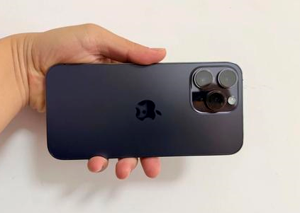 丽水苹果维修点分享iPhone 14 Pro Max黑屏少见故障盘点 